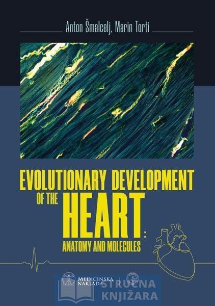 EVOLUTIONARY DEVELOPMENT OF THE HEART anatomy and molecules - Anton Šmalcelj , Marin Torti