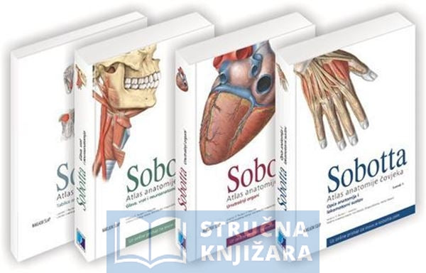 Atlas anatomije čovjeka I. + II. + III. svezak + Tablice - Sobotta